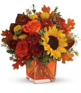 Hello Fall!! TFL11-2A