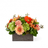 Hello, Gorgeous™ Bouquet