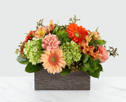 Hello Gorgeous Contemporary Arrangement