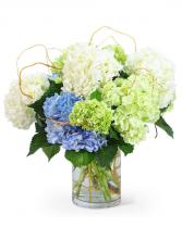 Hello, Hydrangea! Flower Arrangement