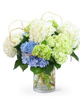 Hello, Hydrangea! Flower Arrangement