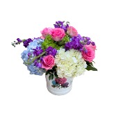 Hello Hydrangeas 