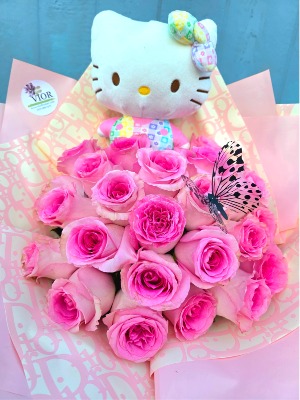 Hello Kitty Lovers 