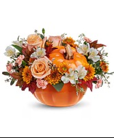 Hello Pumpkin 