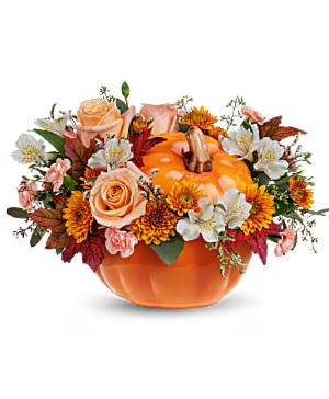 Hello Pumpkin 