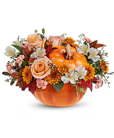 Hello Pumpkin  in Saint Charles, IL | Becky's Bouquets
