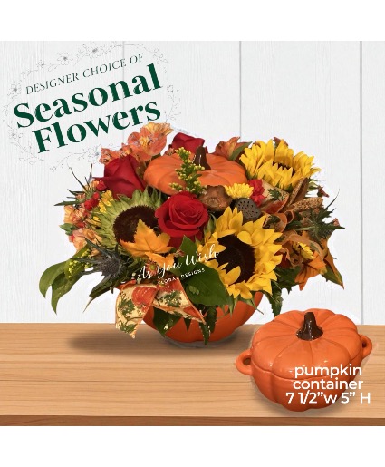 Hello Pumpkin  Arrangement 