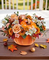 Teleflora's Hello Pumpkin Bouquet Fall