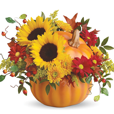 Hello Pumpkin! Fall