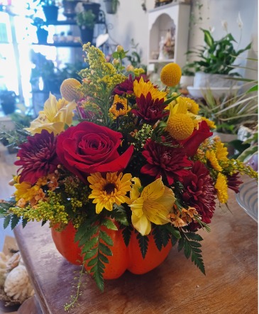 Hello Pumpkin! Flower Arrangement in Owen Sound, ON | BLOEMERS FLOWERS & PLANTS
