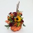 Hello Pumpkin SCF Original - Designed By Kelly
