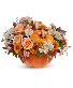 Hello Pumpkin Weekly Special Shown at $10.00 off