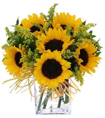 Hello Sunshine  in Snellville, GA | SNELLVILLE FLORIST