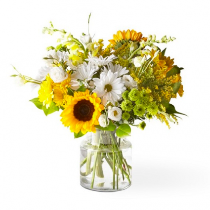 Hello Sunshine!! CGY - Deluxe shown