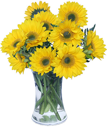 Hello Sunshine! Vase of Flowers in Lompoc, CA | BELLA FLORIST AND GIFTS
