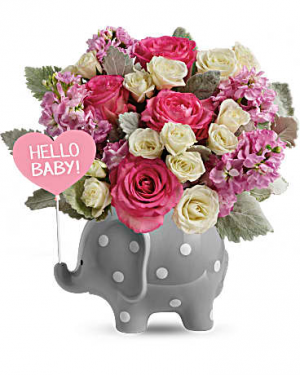 Hello Sweet Baby Elephant New Baby Flowers
