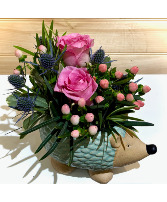 Henriettta the hedgehog Powell Florist Exclusive