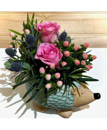 Henriettta the hedgehog Powell Florist Exclusive