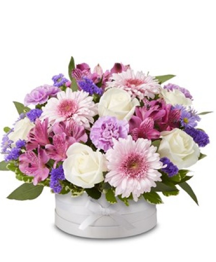 Her HatBox (Purple)