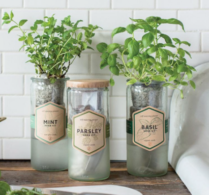 Herb (Basil, Parsley, Minto, Cilantro) Grow Kit