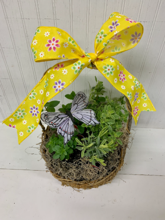 Herb Garden Basket