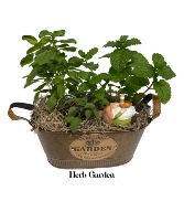 Herb Garden Dish Garden