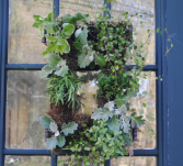 Herb Garden Delight Wreath 