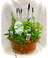 Herb Garden Mother's Day Planter