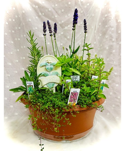 Herb Garden Planter
