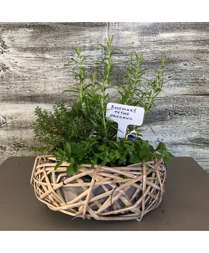 Herb Garden Plants