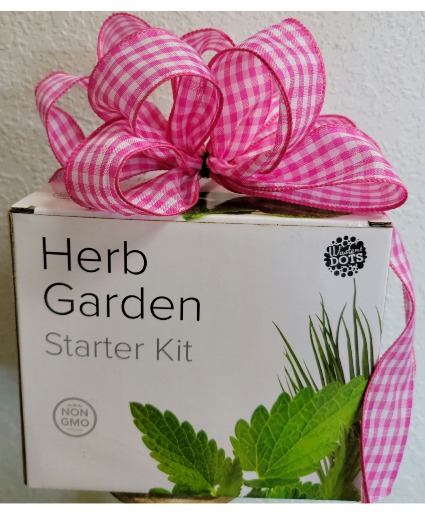 Herb Garden Starter Kit 