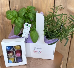 Herbs and Chocolate Basil & Rosemary - For MUMS KITCHEN 