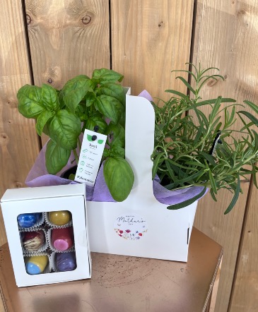 Herbs and Chocolate Basil & Rosemary - For MUMS KITCHEN in Aurora, ON | Petal Me Sugar Florist Herbs and Chocolate Basil & Rosemary - For MUMS KITCHEN in Aurora, ON | Petal Me Sugar Florist