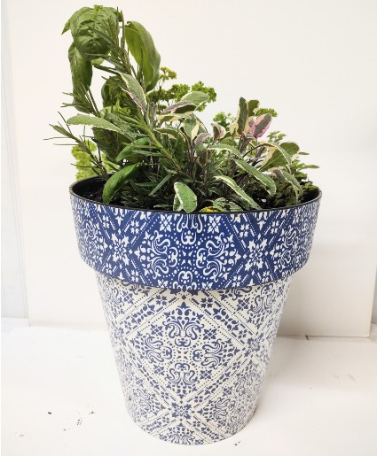 HERBS IN A BLUE AND WHITE POT