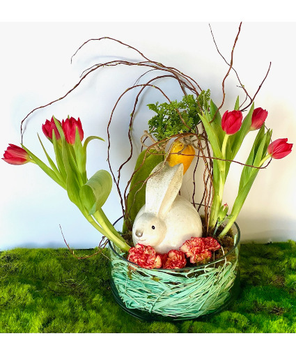 Here Comes Peter Cottontail Powell Florist Easter Exclusive
