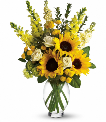 Here Comes the Sun T152-1 in Rossville, GA | Ensign The Florist