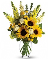 Here Comes The Sun T152-1a Arrangement