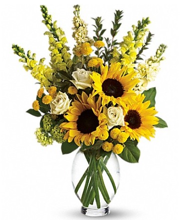 Here Comes The Sun T152-1A Arrangement in Fort Worth, TX | DARLA'S FLORIST