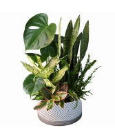 HERRINGBONE TIN PLANTER 