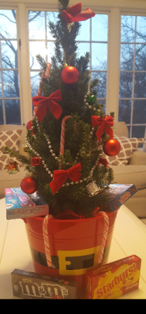 This is a REAL Christmas tree! (up to 24