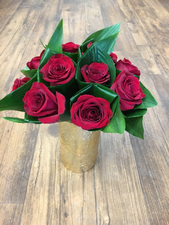 Hi-Style Roses