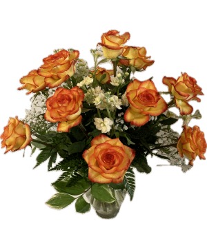 High and Majic Ex. 1 dozen High and Majic roses