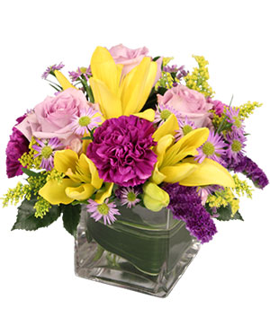 HIGH IMPACT Arrangement in Haddon Heights, NJ - Freshest Flowers