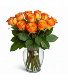 High Magic Roses  