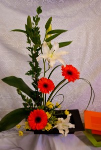 High Style  High Style Arrangement in Corner Brook, NL | The Orchid