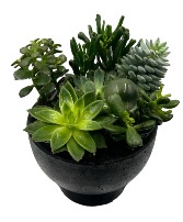 High Style Succulent Bowl with Glass Infinity Ball 
