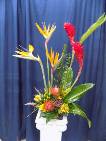 High Style Tropical Tropical