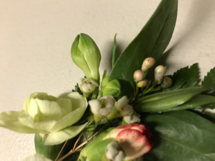 Hint of Carnation & color Boutonniere
