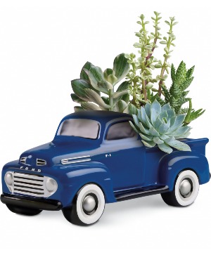 HIS FAVORITE FORD Succulents T16F100