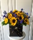 Sunflower Box 